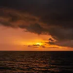 Cardumen Arte Y Cocina